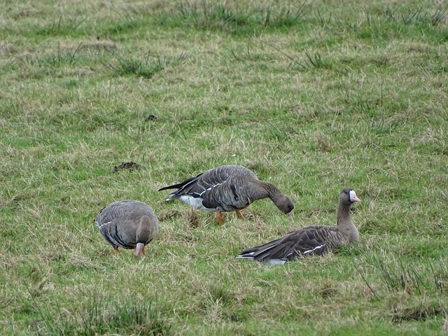 于帕：尤其感谢孔帕尼对我的指导；已经克服注意力不集中问题