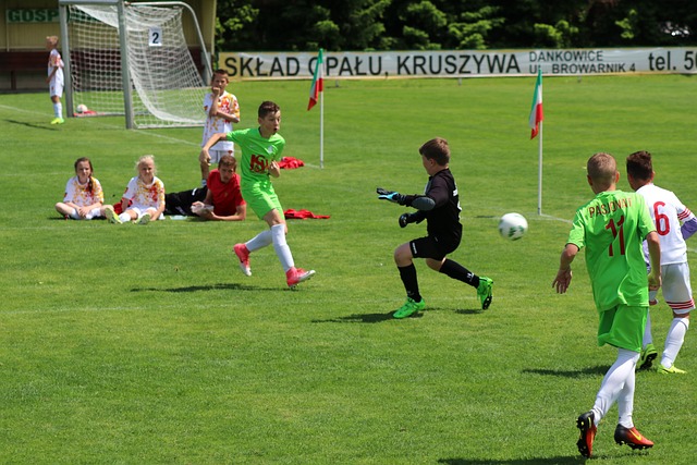 的竞技场上 的竞技场上