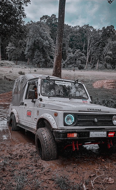 包括陣容深 包括陣容深