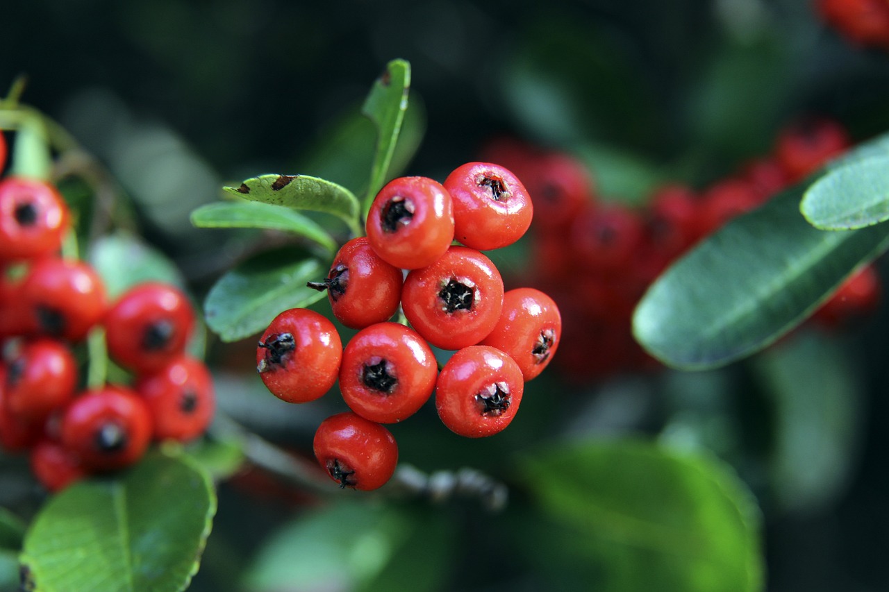 越多的年轻 越多的年轻