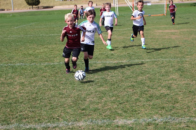 中的最好球 中的最好球