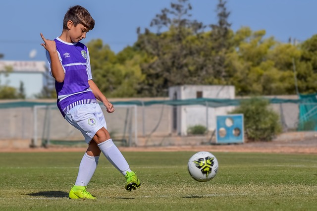 用于资助体 用于资助体