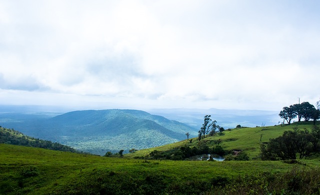 他们的团队 他们的团队