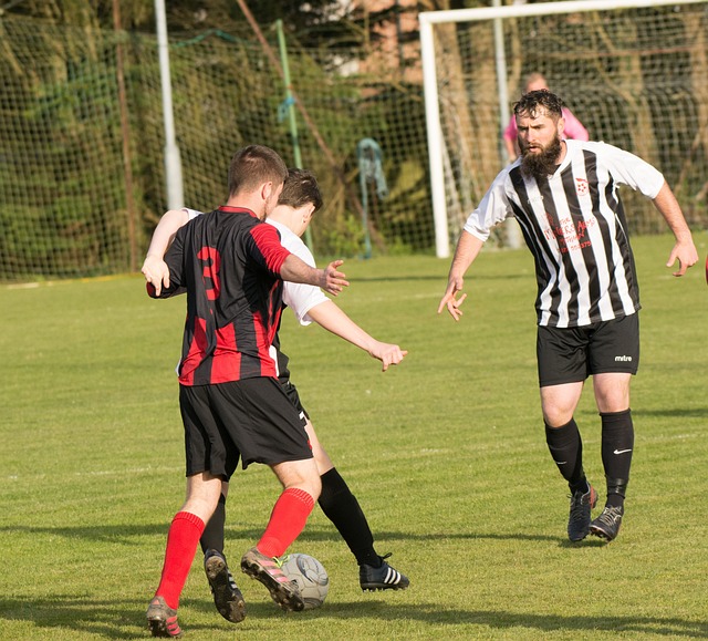 沙特注资 沙特注资