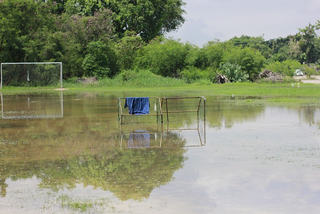欧洲金靴实时榜单：莱万领跑 萨拉赫位列次席.